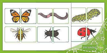 Insecte și mici viețuitoare – Puzzle grupa mică