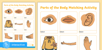 Interactive Body Parts | twinkl.co.uk