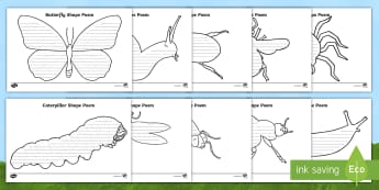 Australian Resources English Primary Resources - Minibeasts Aust