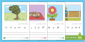 10 000 top urdu worksheets teaching resources