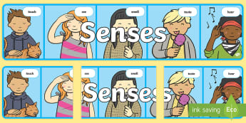 My Senses | KS1 Primary Resources - Twinkl