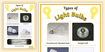 Science Teaching Aids | twinkl.com.au