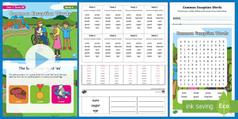 Year 2 - KS1 Spelling Primary Resources - Twinkl