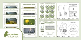 Proiect 1 Decembrie - România mea frumoasă | Twinkl România