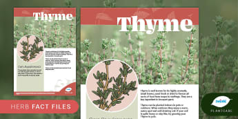 Herbs Fact File: Thyme, Plants, Plantcare, Outdoor, Indoor