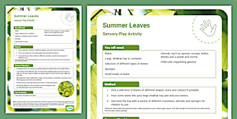 Leaf Sensory Play Activity | Twinkl