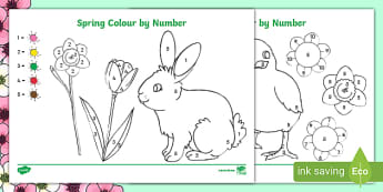 Spring Colour by Numbers | Spring Colouring Activity