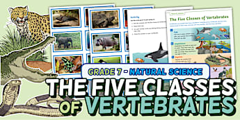 Biodiversity Life and Living - Grade 7 I Category - Twinkl