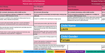 EYFS Report Statements | twinkl.co.uk