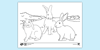 Show Rabbit Printable Image Rabbit Printables | twinkl.co.uk