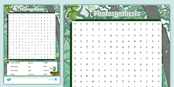 Photosynthesis Word Search - Twinkl Science
