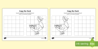 Copy the Duck Worksheet
