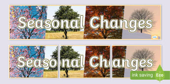 Seasonal Changes Photo Display Banner