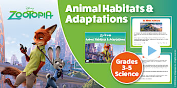 Zootopia: Animal Habitats & Adaptations PowerPoint