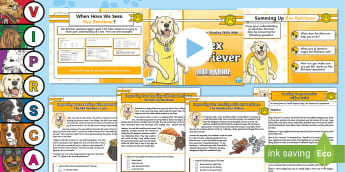 Reading Retrieval Activities KS2 Students - Twinkl