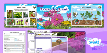 Science Lesson Plans KS1 Plants Resources - Twinkl