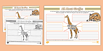 Animals Mind Map • Twinkl.com.au