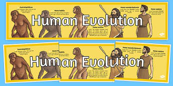 Timeline of human evolution - Wikipedia