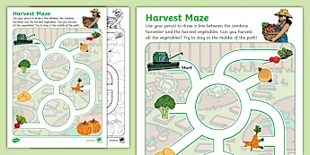 Harvest Worksheets | twinkl.com.au