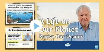 David Attenborough Activities | twinkl.co.uk