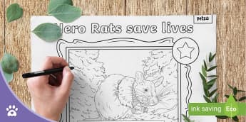 Hero Rat Colouring Sheet