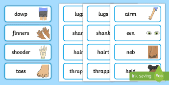 Body Parts Word Cards | twinkl.com.au