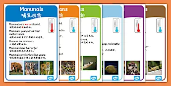 Biology Display Poster • Twinkl.com.au