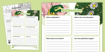 Pollination Resources | twinkl.co.uk