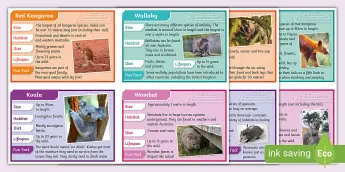 Science Fact Cards | twinkl.co.uk