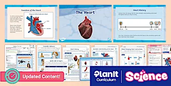 Heart Science Resources | twinkl.co.uk