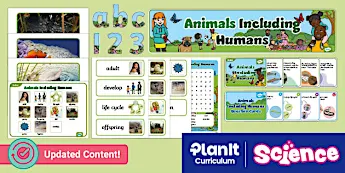 Science Display Resources | twinkl.com.au