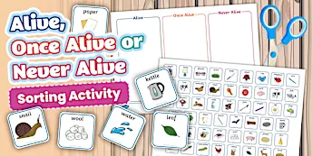 Science Sorting Activity • Twinkl.com.au