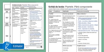 Plantele Părți componente – Schiță de lecție pregătitoare