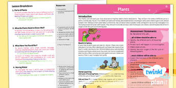 STEM Plant Lesson Plans And Resources | KS2 Science | Year 3