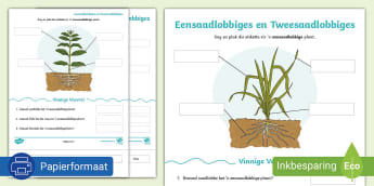 Natuurwetenskappe Seniorfase - South Africa/Suid-Afrika