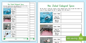 new zealand extinct animals powerpoint twinkl