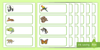 Pegs and Classroom Tray Labels for School - Twinkl