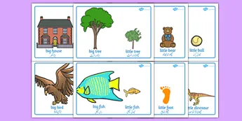 Early Education Display Posters • Twinkl.ca