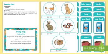 Feeding Pets Posting Busy Bag Prompt Card and Resource Pack - EYFS Pets, Animals, National Pet Month, dog, cat, rabbit, guinea pig, snake, pet food, 