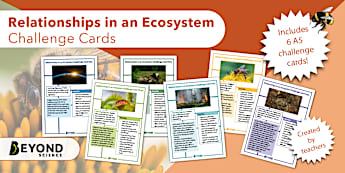 Ecosystems and Interdependence | KS3 Biology | Beyond