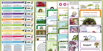 EYFS Plants and Growing | twinkl.co.uk