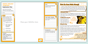 Understanding Text Ks1 Explanation Texts | twinkl.com.au