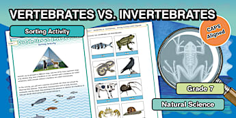 Biodiversity Life and Living - Grade 7 I Category - Twinkl