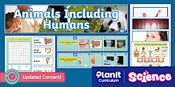 Animals Including Humans Displays | twinkl.ca