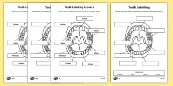 Keeping Fit and Healthy - KS2 Resources - Teaching Resources