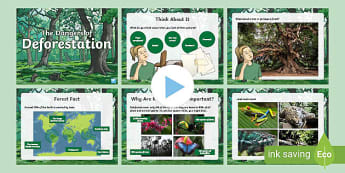 Deforestation - The Environment - Topics - KS2 - Twinkl