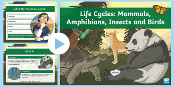 Life Processes and Living Things - KS2 Science Resources