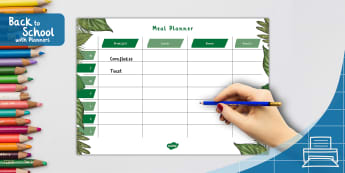 Leaf Themed Back to School Resources - Twinkl