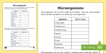 Microorganisms for KS2 - Primary Education Resources