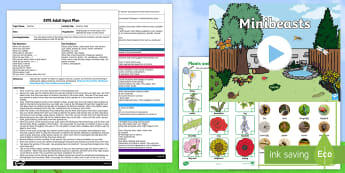 A Summer Walk EYFS Adult Input Plan and Resource Pack - adult focus